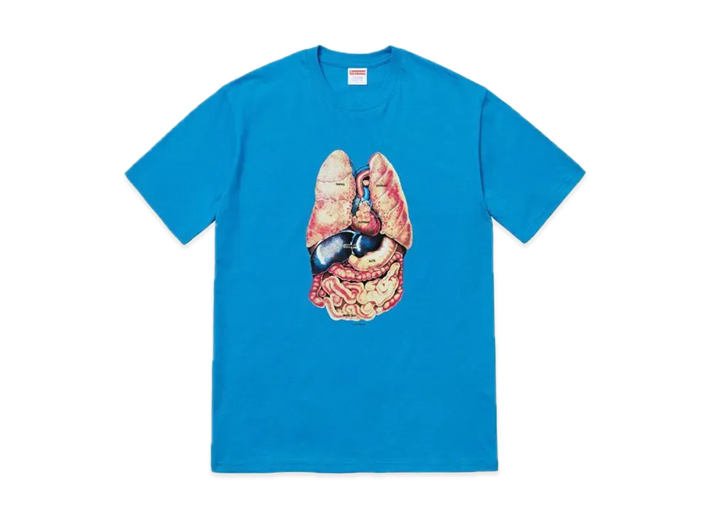 Supreme Guts Tee "Bright Blue"