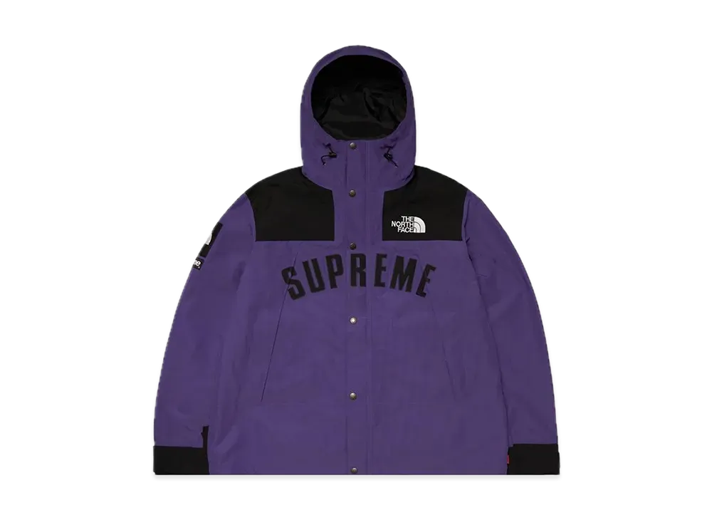 Supreme x The North Face Arc Logo Mountain Parka "Purple"