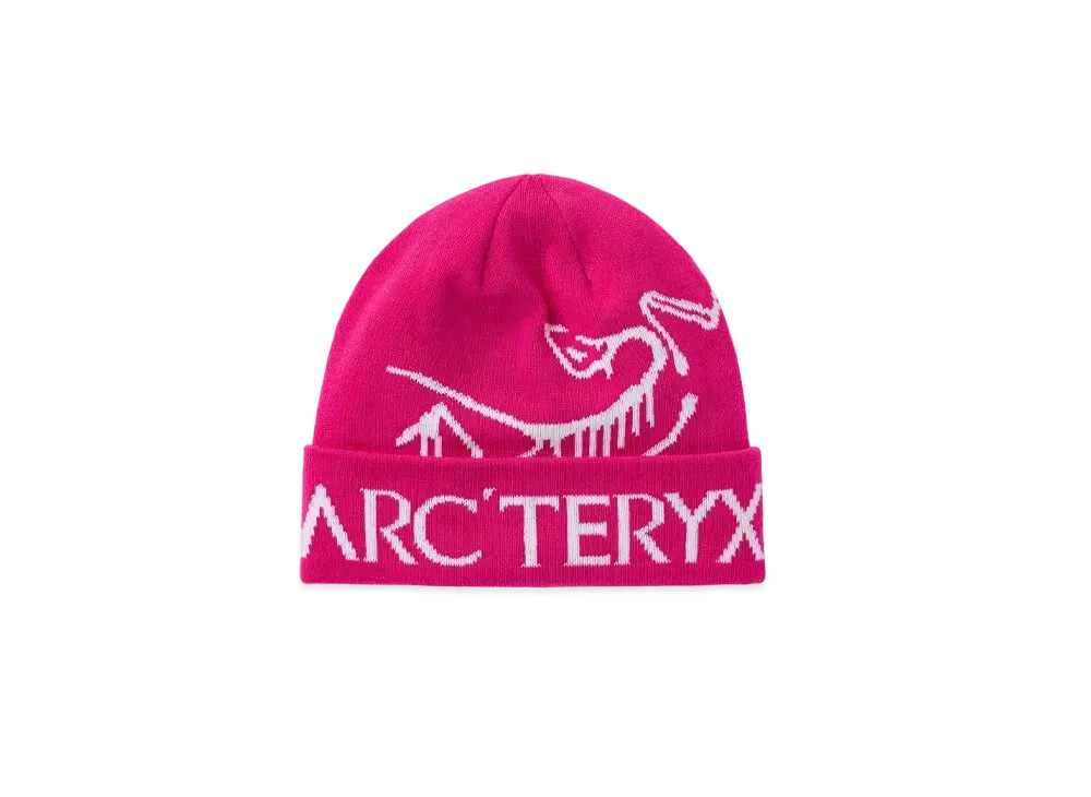 ARC'TERYX Bird Word Toque "Synth/White Light" X000005632