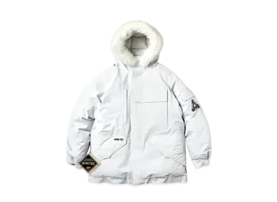 PALACE Gore-Tex Down Parka "Ice Grey"