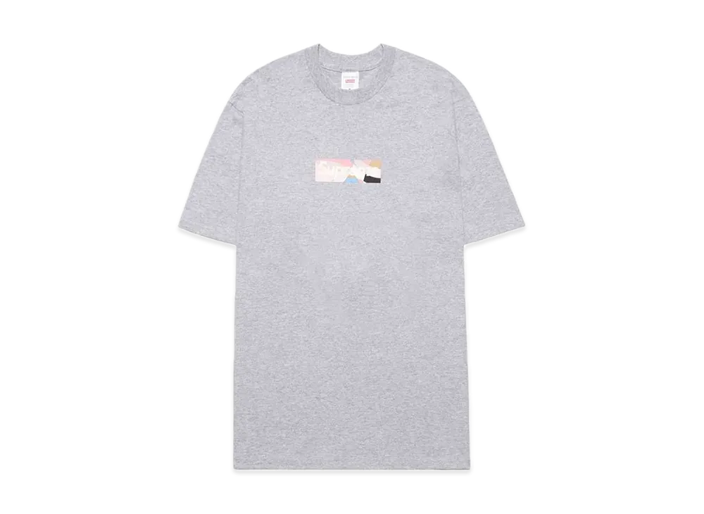 Supreme / Emilio Pucci® Box Logo Tee "Grey/Pink"