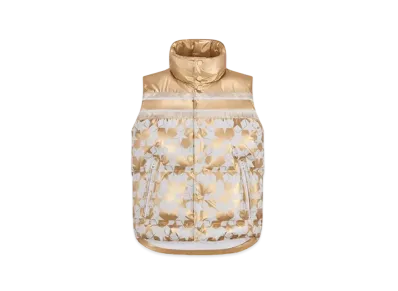 DiorAlps No Sleeve Puffer Jacket
