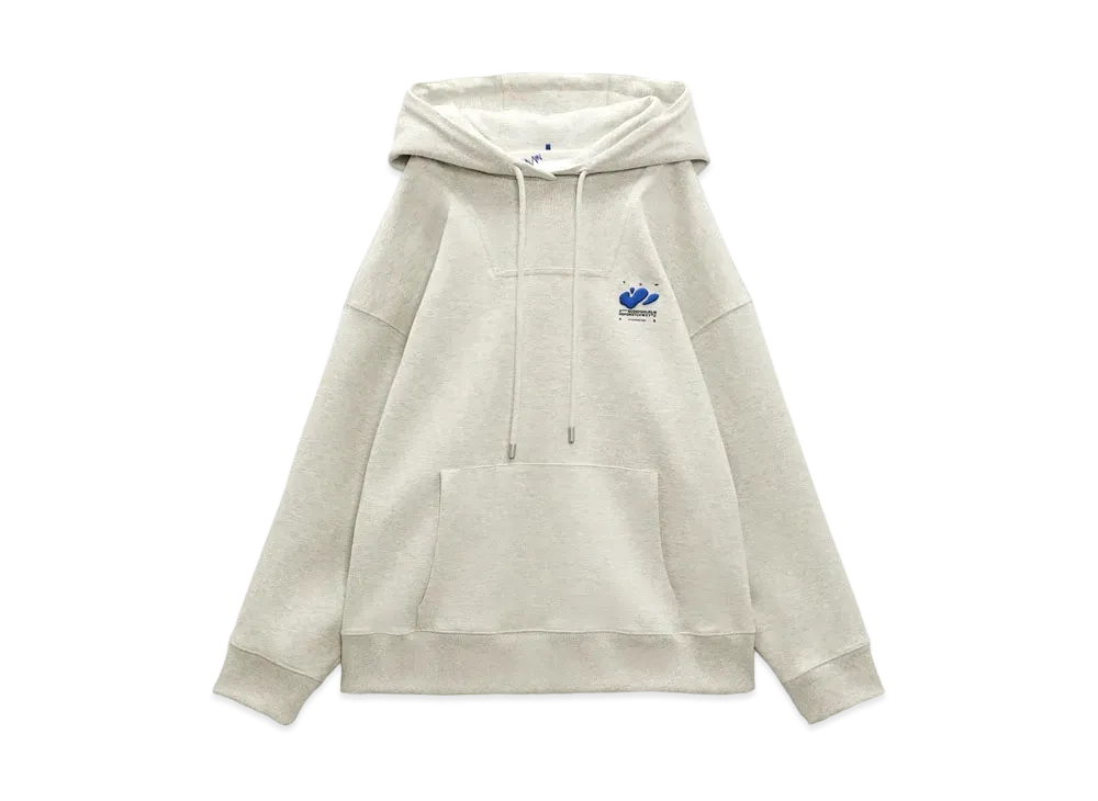 Ader Error x ZARA Embroidery Hoodie 
