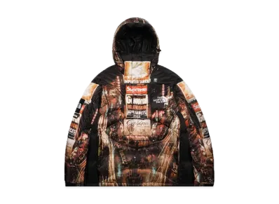 Supreme x The North Face 800-Fill Half Zip Hooded Pullover "Multi"