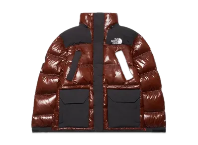Supreme x The North Face 700-Fill Down Parka "Brown" NF0A82R3JK3 / ND52206I