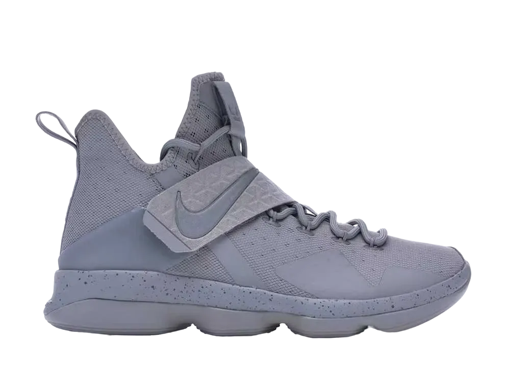 ナイキ レブロン14 "シルバー"