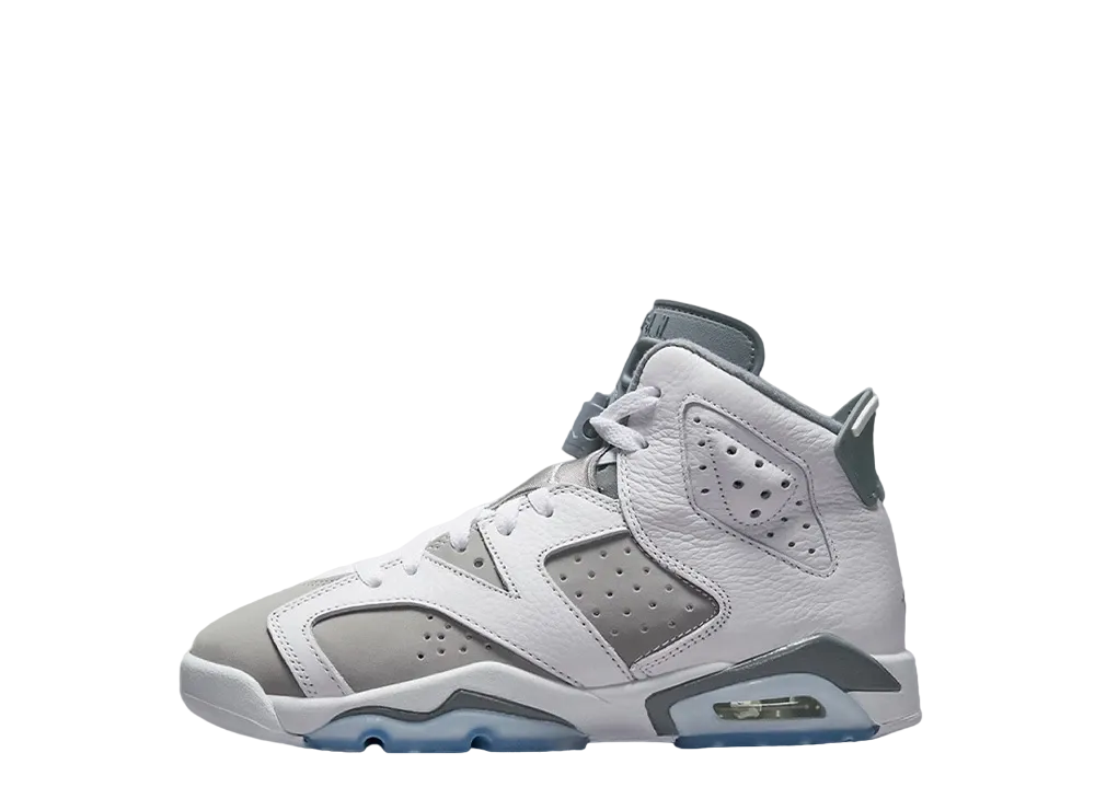 Nike GS Air Jordan 6 "Cool Grey"