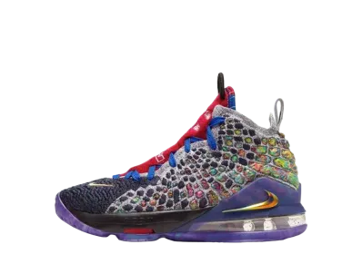 Nike GS LeBron 17 What The "Multi"
