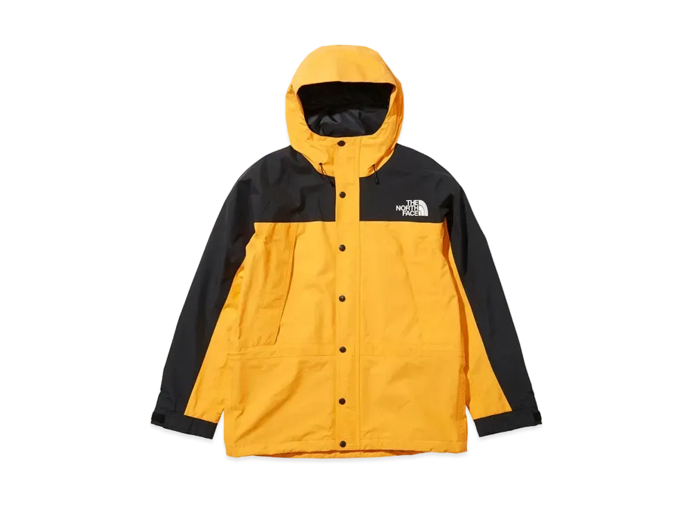 The North Face Mountain Light Jacket 