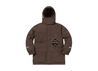 Supreme GORE-TEX 700-Fill Down Parka "Brown"