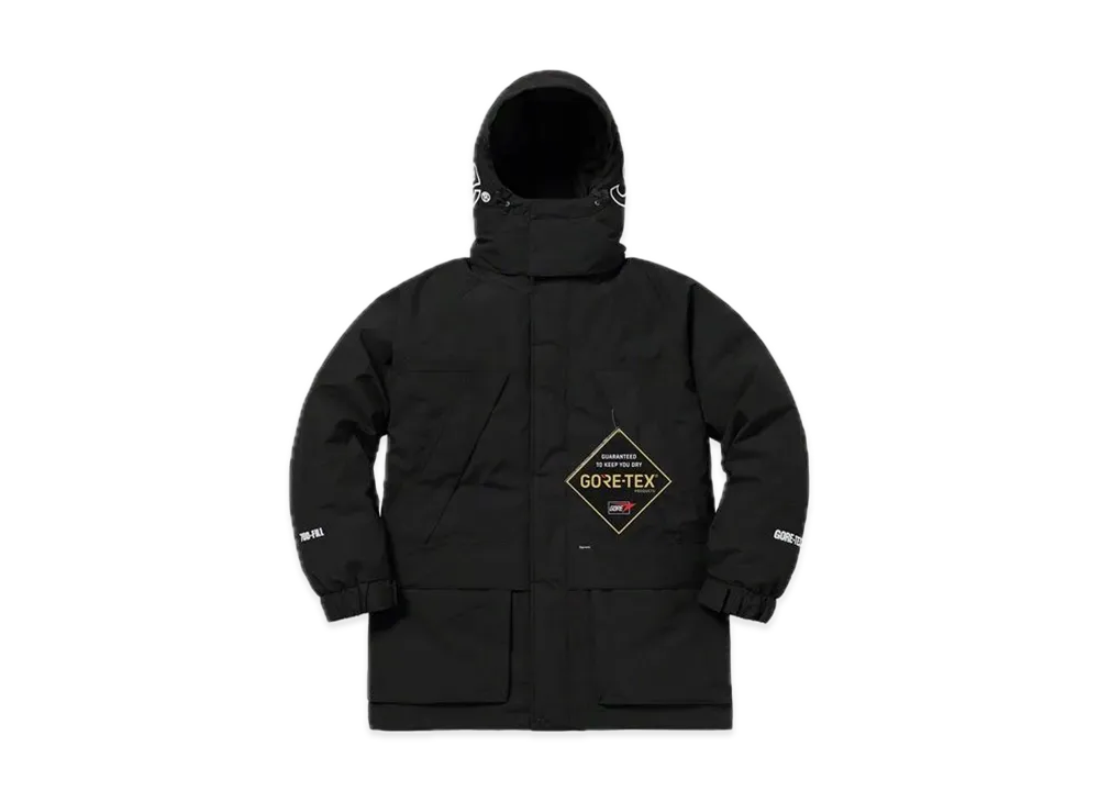 Supreme GORE-TEX 700-Fill Down Parka "Black"