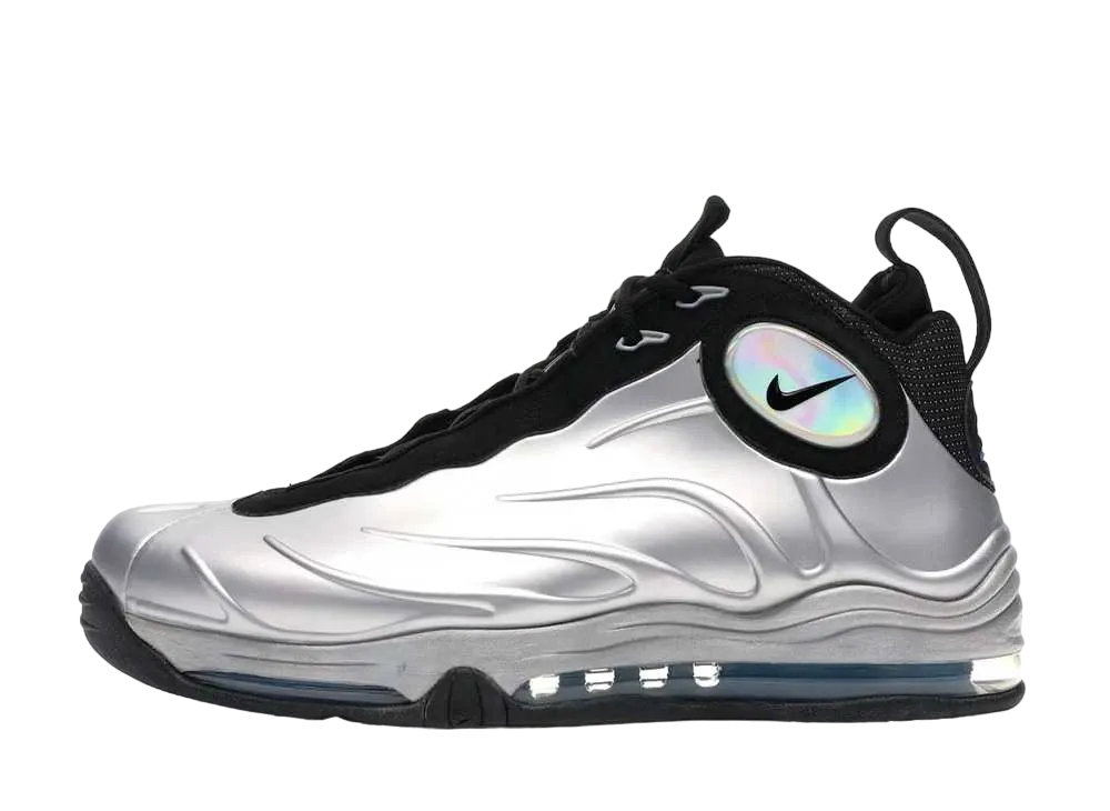 Nike Total Air Foamposite Max "Metallic Silver" (2011)
