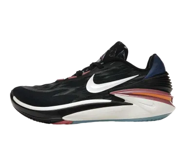 Nike Air Zoom GT Cut 2 "Black/Desert Berry"