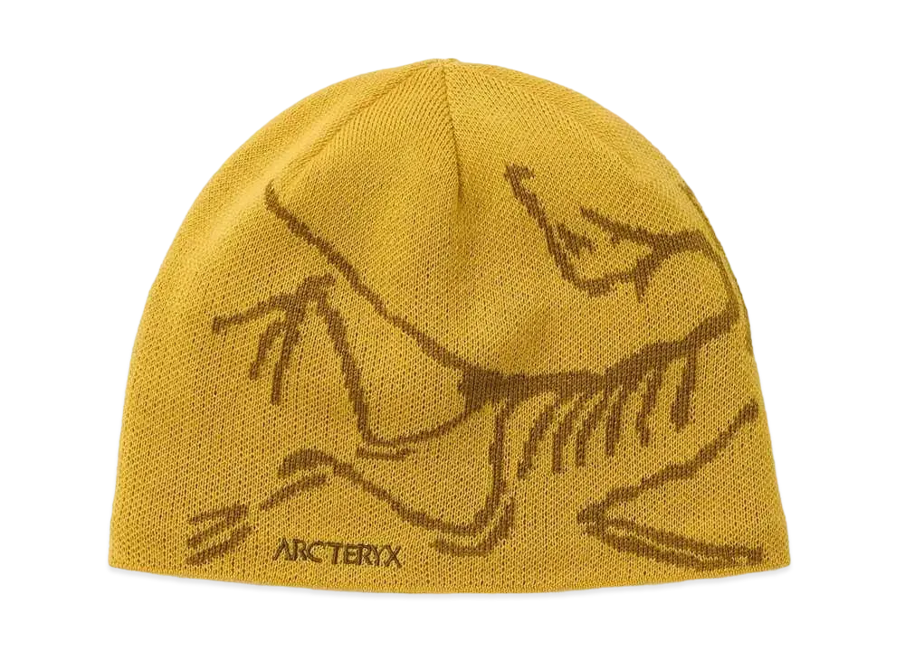 ARC'TERYX Bird Head Toque "Oracle/Daze" X000005656