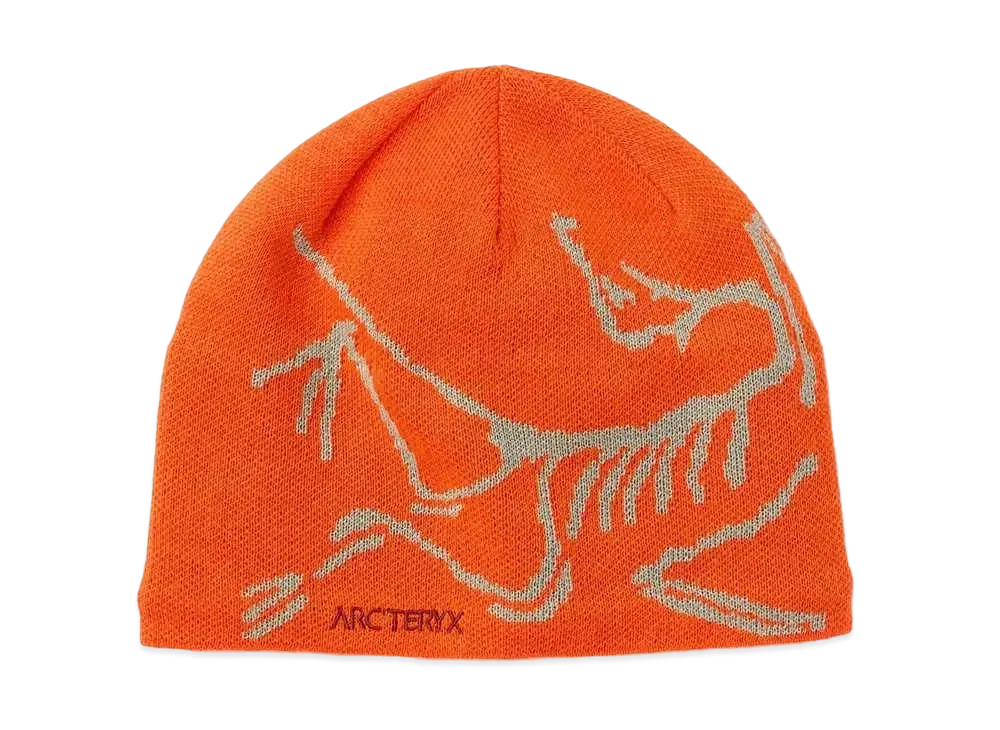 ARC'TERYX Bird Head Toque "Phenom/Habitat" X000005656