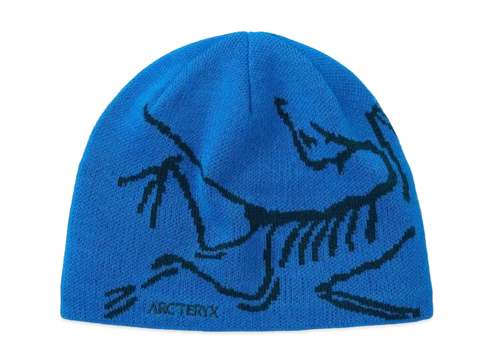 ARC'TERYX Bird Head Toque "Fluidity/Labyrinth" X000005656