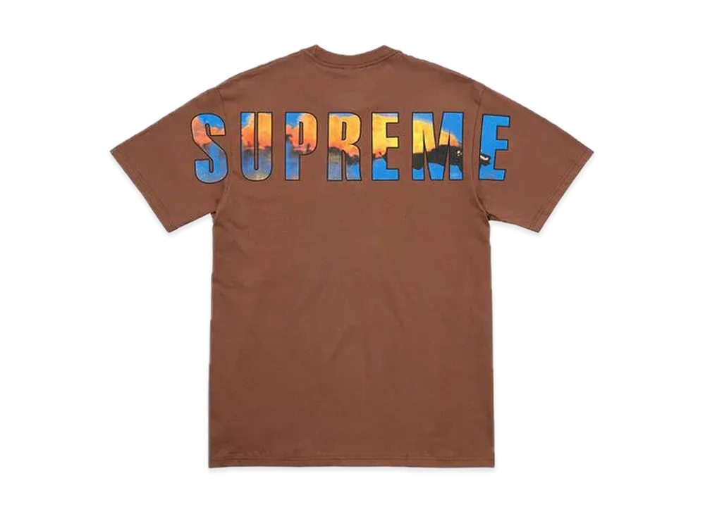 Supreme Crash Tee "Brown"