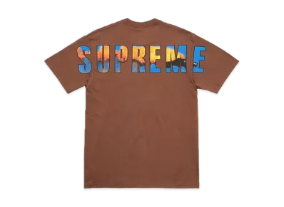 Supreme Crash Tee "Brown"