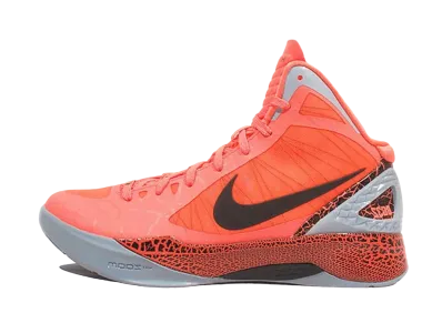 ナイキ ハイパーダンク 2011 "ブレイク グリフィン"