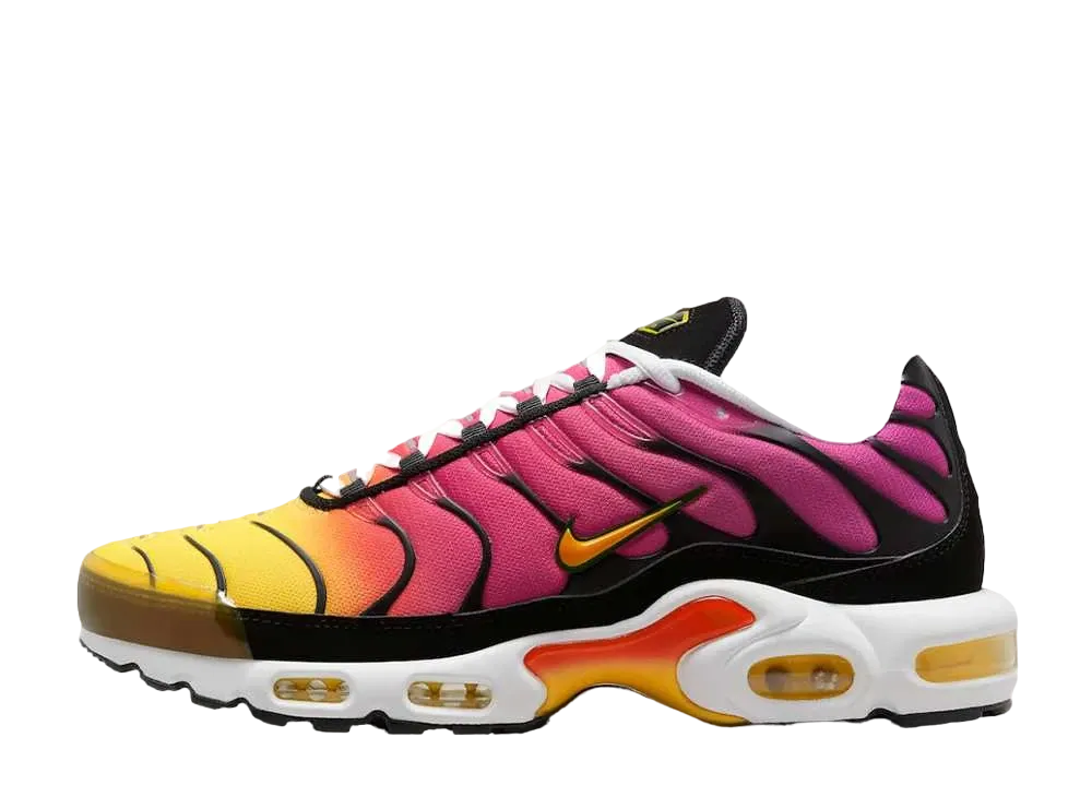 Nike Air Max Plus OG "Gradient"(2023)