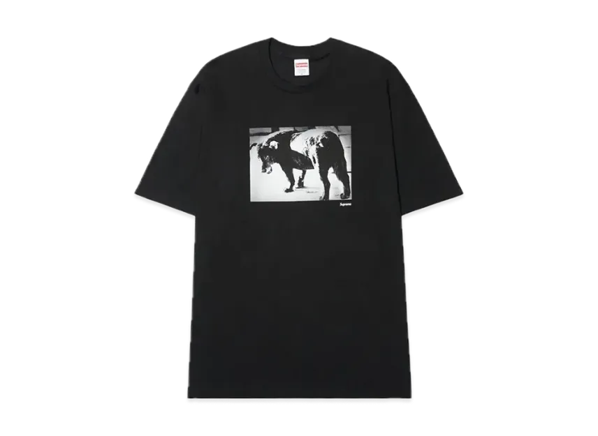 Supreme x Daido Moriyama Dog Tee Supreme x Daido Moriyama Dog Tee
