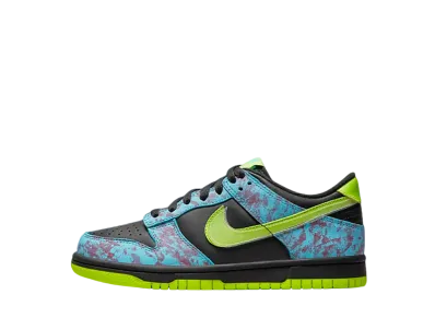 Nike GS Dunk Low SE "Multi"