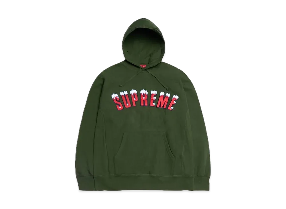 Supreme Icy Arc Hooded Sweatshirt "Green"