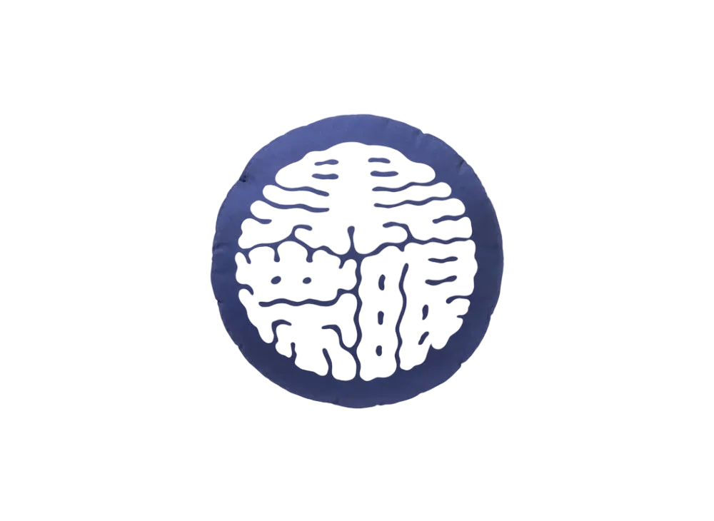 Black Eye Patch Kamon Pillow "Navy"