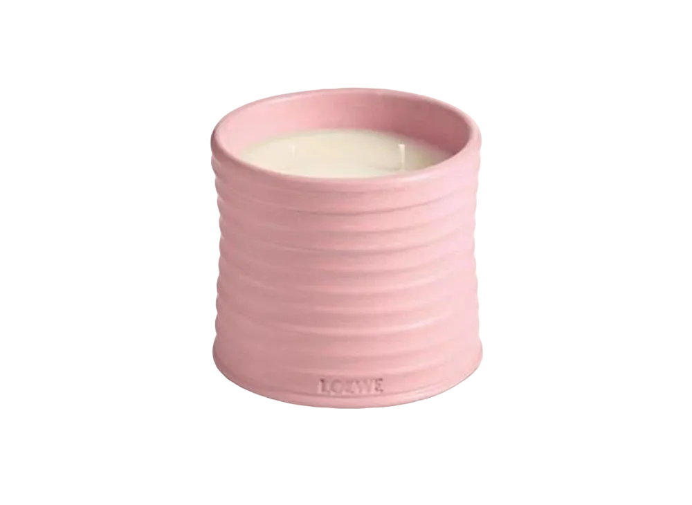 LOEWE Medium Ivy Candle "Light Pink"