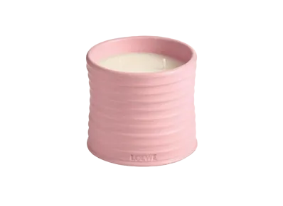 LOEWE Medium Ivy Candle "Light Pink"
