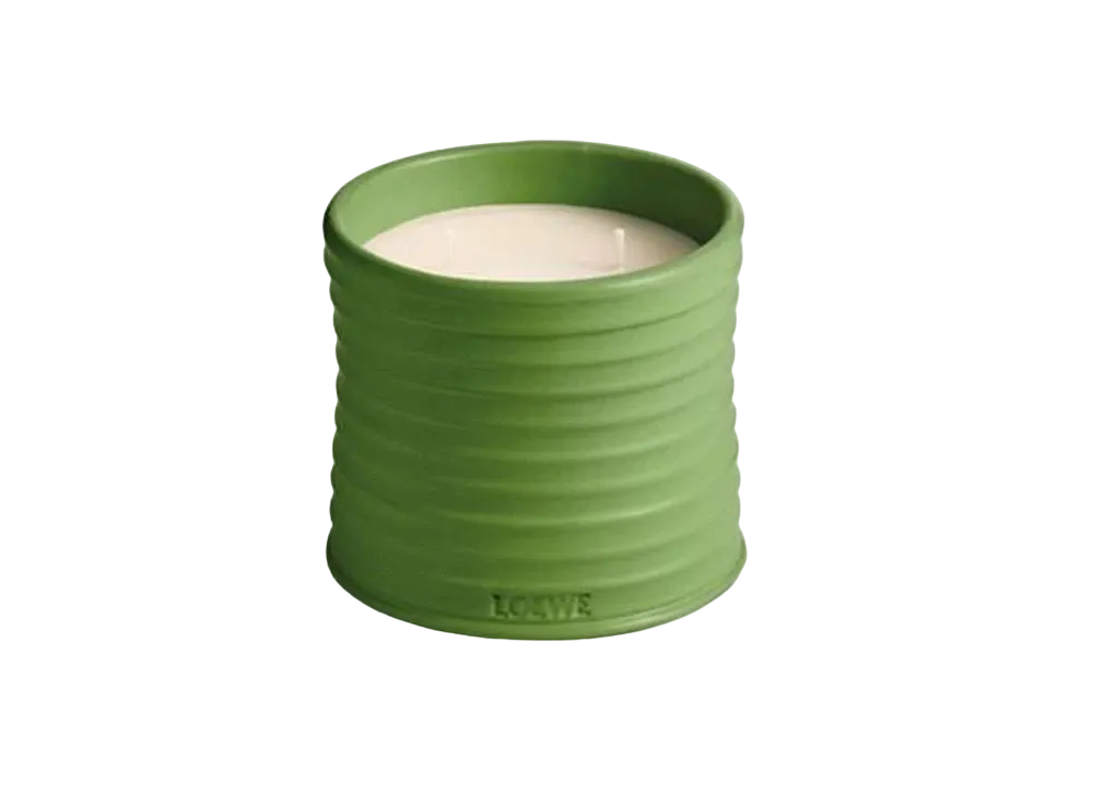 LOEWE Medium Luscious Pea Candle "Light Green"