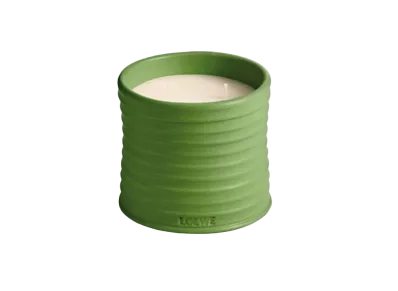 LOEWE Medium Luscious Pea Candle "Light Green"