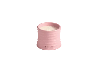 LOEWE Ivy Candle "Light Pink"