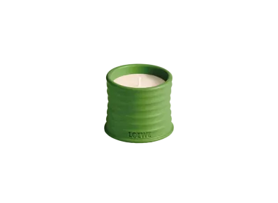 LOEWE Luscious Pea Candle " Light Green"