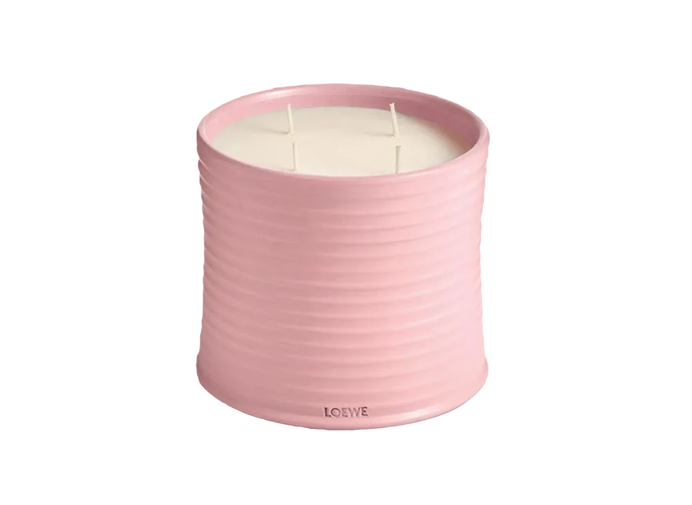 LOEWE Large Ivy Candle "Light Pink"