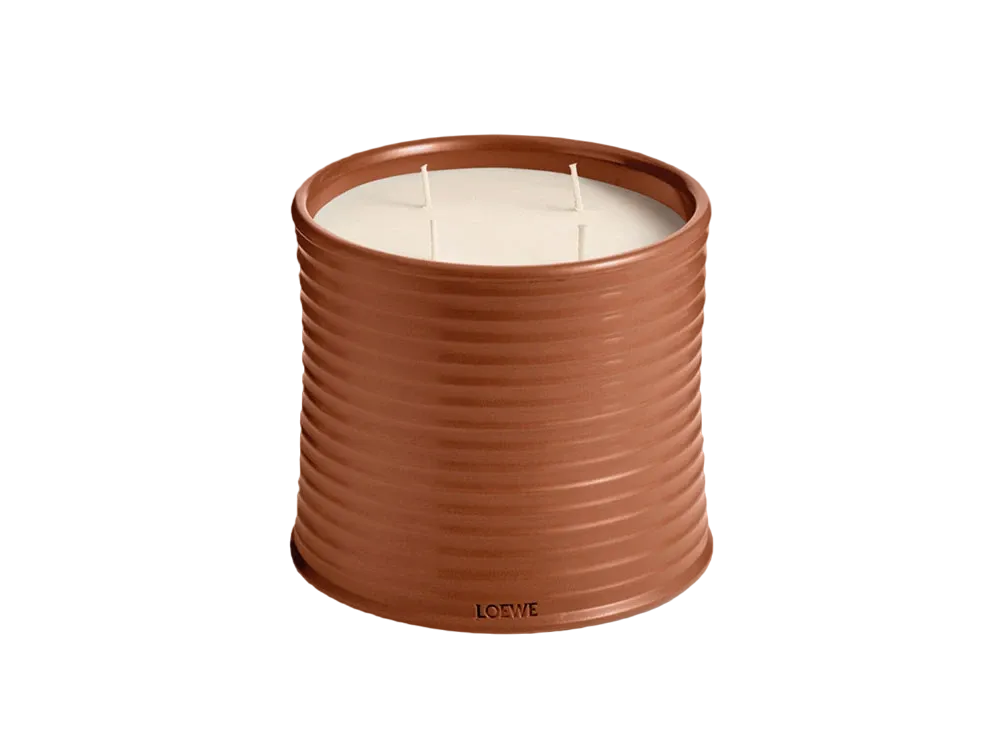 LOEWE Large Juniper Berry Candle "Orange"