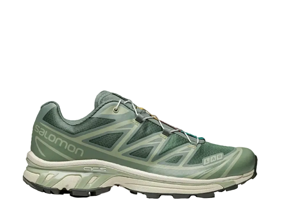 Salomon Advanced XT-6 "Laurel Wreath"