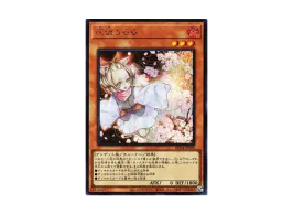 R746】遊戯王 灰流うらら RC04-JP009 25thシークレットレア R746 R746】遊戯王 灰流うらら RC04-JP009 25thシークレットレア R746