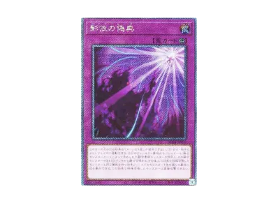 遊戯王OCG デュエルモンスターズ レアリティコレクション クォーター 遊戯王OCG デュエルモンスターズ レアリティコレクション クォーター