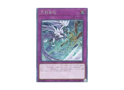 遊戯王OCG デュエルモンスターズ レアリティコレクション クォーター 遊戯王OCG デュエルモンスターズ レアリティコレクション クォーター