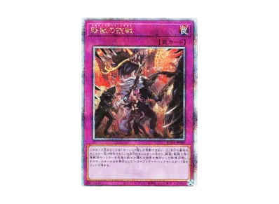 遊戯王OCG デュエルモンスターズ レアリティコレクション クォーター 遊戯王OCG デュエルモンスターズ レアリティコレクション クォーター