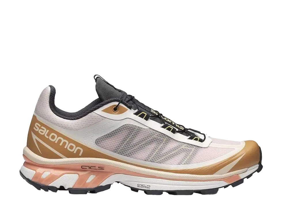 Salomon XT-6 FT "Morganite Fenugreek"