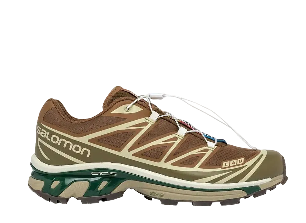 サロモン XT-6 "ラバー/リザード"