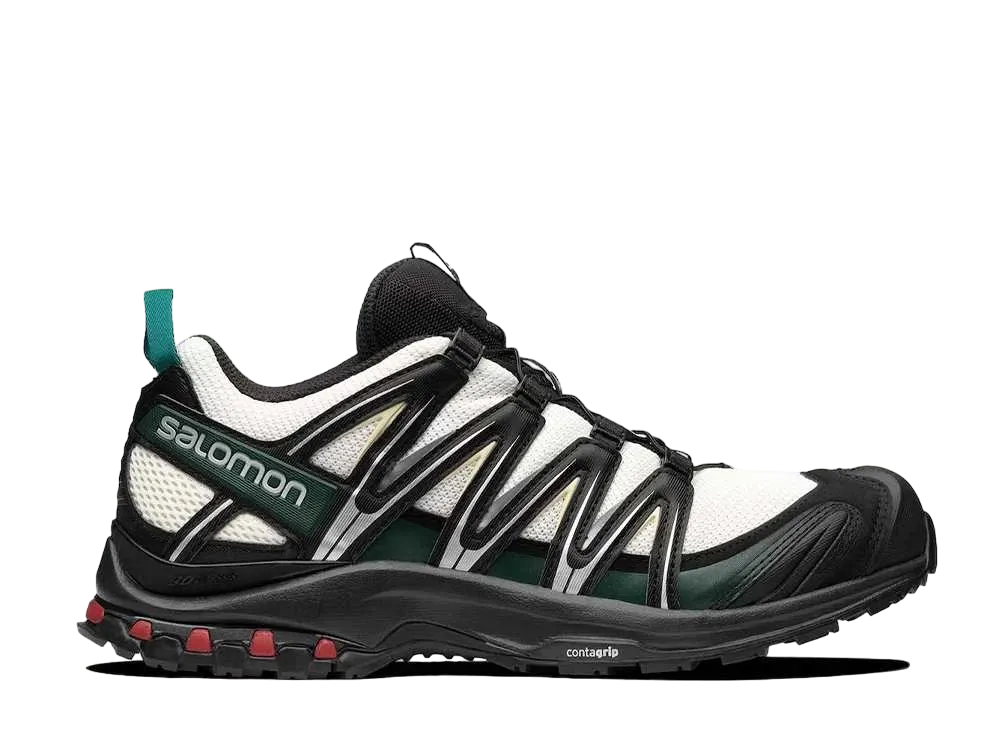 サロモン XA プロ 3D "バニラ アイス ポンデローサ パイン"