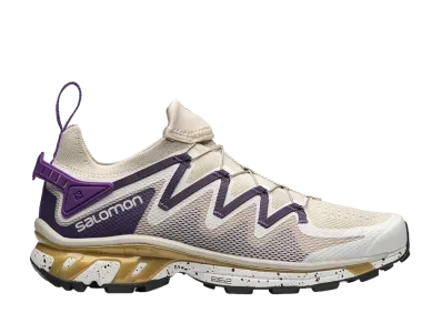 Salomon XT-Rush "Rainy Day/Grape/Gold"