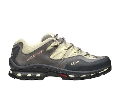 Salomon XT-Quest 2 "Ebony/Pewter/Moth"