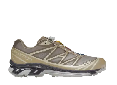 Salomon XT-6 "Clear Safari"