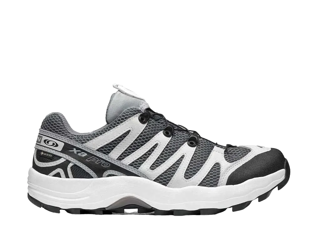 Beams × Salomon XA Pro 1 Gore-Tex "Quarry/Ebony"