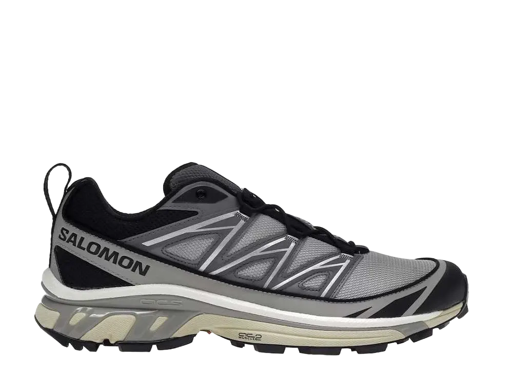 サロモン XT-6 エクスパンス "アロイ/グレイ/クワイエット シェイド"