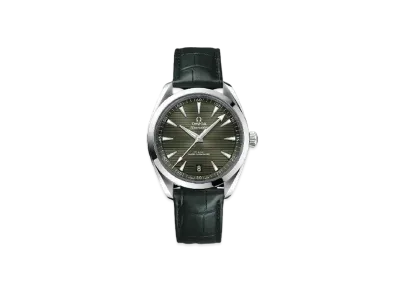 OMEGA Sea Master Aqua Terra 220.13.41.21.10.001